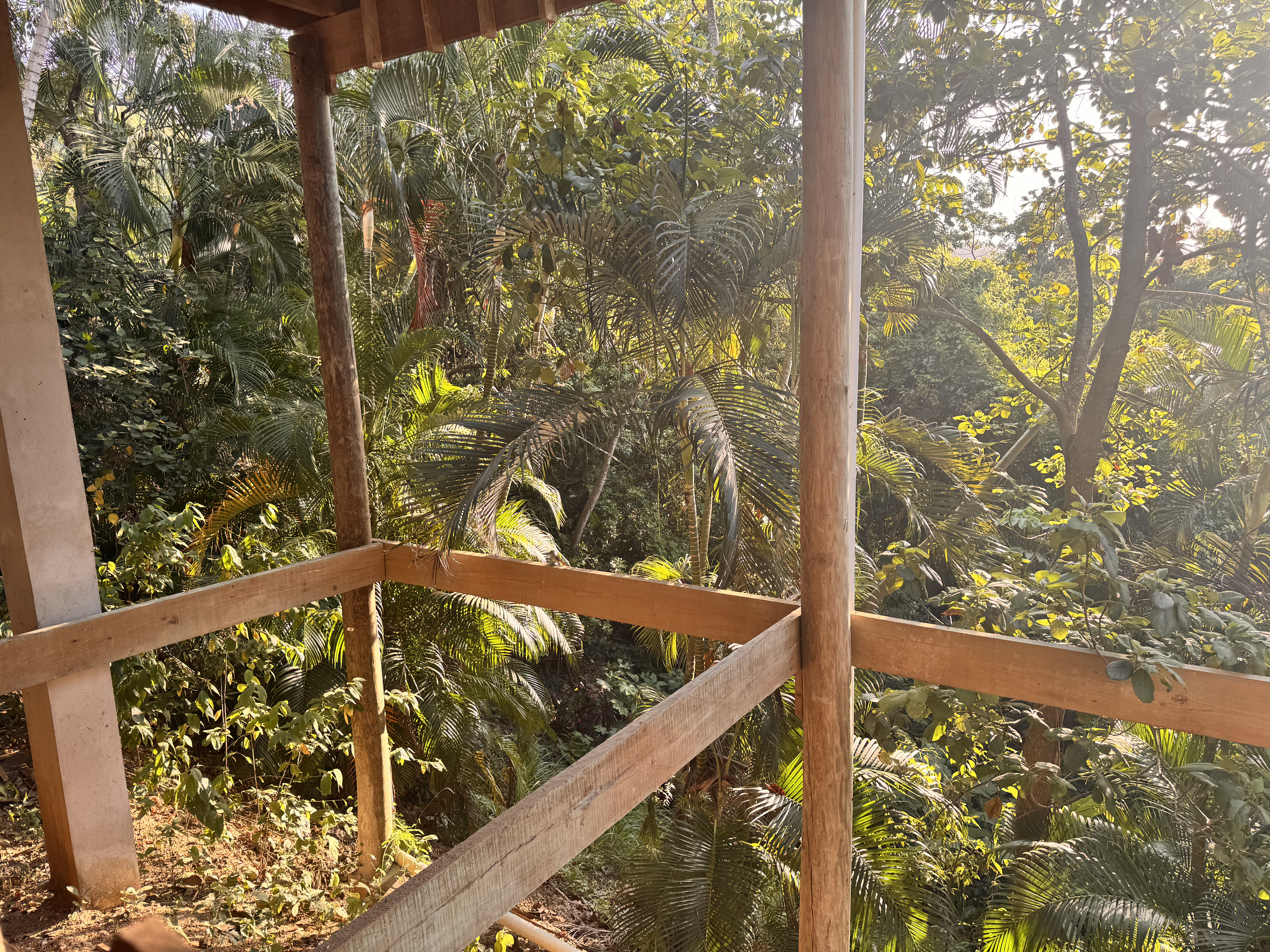 Lower level 7